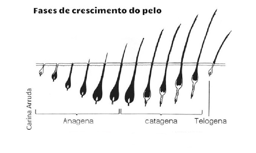 crescimentodopelo